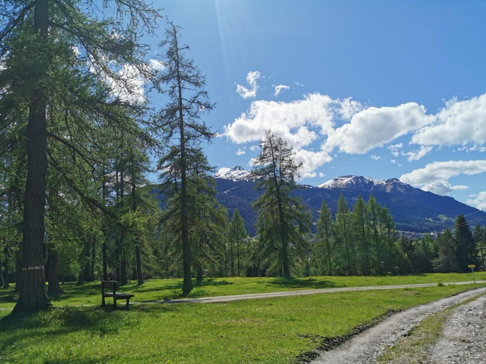 Tiroler Alpblick Appartements Ehrwald Luaran gambar
